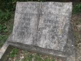 image of grave number 572382